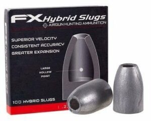 FX .22 Hybrid Slugs