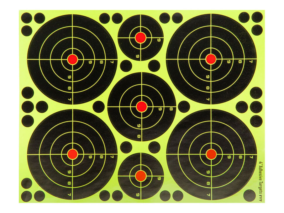 Umarex Vision Target Shooting Stickers (10 Sheets)